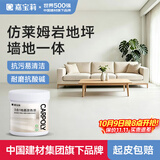 嘉宝莉（CARPOLY）莱姆岩涂料家用室内环氧地坪漆水泥地面专用地板漆丝绸白5kg