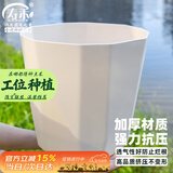 寿禾 花盆特大号大型绿植加厚塑料盆栽容器 超大号木里盆-杏色