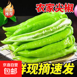 新鲜牛角椒青皮辣椒现摘先发农家自种 山西尖椒2斤（净重 1.8斤）