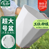 寿禾 花盆带托盘塑料树脂盆家庭园艺绿植花卉种植 木里盆超大号-浅灰