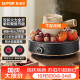 苏泊尔（SUPOR）迷你电陶炉 煮茶器煮茶炉煮茶壶 养生围炉煮茶泡茶办公家用不挑器具SW-DTL05