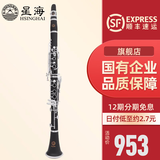 星海（XINGHAI INSTRUMENT）单簧管XC-17J 降b调黑管乐器 初学考级学校乐团入门业余演奏款 初学款YH-321单簧管