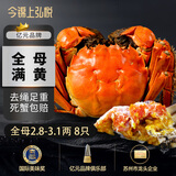 【活蟹】今锦上弘悦大闸蟹鲜活螃蟹礼盒全母2.8-3.1两8只精品国庆礼盒礼品去绳足重