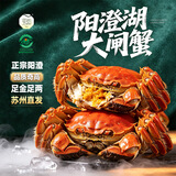 【活蟹】澄湖之心阳澄湖大闸蟹螃蟹公3.3-3.6两母2.3-2.6两4对8只 正宗阳澄湖大闸蟹 | 足斤足两