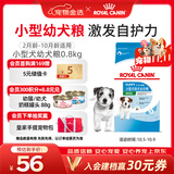 皇家狗粮 幼犬狗粮 幼犬奶糕宠物小型犬MIJ31全价犬粮2-10月800g