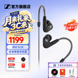 森海塞尔（Sennheiser）IE900/IE600/IE300旗舰级HIFI高保真超宽单动圈单元可拆卸MMCX挂耳式耳机 高保真发烧有线耳机耳塞 IE300 【进阶HIFI高保真】