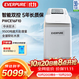 爱惠浦（Everpure）全屋中央过滤 美肤洗浴 呵护衣物 家用软化水质净水器 1.1吨/小时 9500吨制水量 软水机PWCE16F10