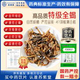 苏紫堂全蝎30g/袋 山西运城 中药饮片 无熏硫公蝎子干母蝎子全虫新货全蝎 【京东大药房】