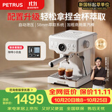 柏翠(petrus) 咖啡机意式浓缩家用小型半自动蒸汽打奶泡PE3833海盐小方