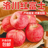 正宗红富士丑苹果脆爽多汁应季红富士苹果新鲜苹果多仓混发 陕西洛川带箱4.5斤净重4斤【果径75-80】