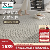 大江进口羊毛地毯客厅现代简约素色轻奢高级感沙发地毯200x300cm