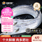 应鱿尽鱿新鲜精品海钓大带鱼无冰整条宽带鱼刀鱼海鱼海鲜水产生鲜节日送礼 鱼来渔旺A级钓带*4斤（单条净重300-500g）
