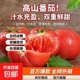 低脂高山西红柿水果番茄可生吃新鲜蔬菜生鲜产地直发 山东西红柿带箱6斤 5.7斤 净重