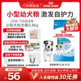 皇家狗粮 幼犬狗粮 幼犬奶糕宠物小型犬MIJ31全价犬粮2-10月800g