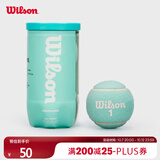 Wilson威尔胜2025全新配色罐装网球2颗装 知更蓝色【球上数字随机】