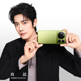 荣耀Magic9 Pro Max 16+1TB 苔青 第六代骁龙8超级至尊版 阿莱双两亿超清影像 5G AI 旗舰手机
