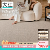 大江进口羊毛地毯客厅现代简约素色轻奢高级感沙发地毯200x300cm
