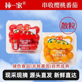 京鲜生樱桃番茄水果西红柿绿色食品 粒收番茄红黄双拼400g*2盒源头直发