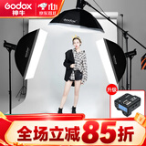 神牛（Godox） 神牛SK400II二代摄影灯400W影室专业闪光灯套装人像静物服装影棚器材拍照灯 【2】SK400II三灯套装+【包含引闪器】 适用佳能版