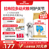 皇家狗粮 拉布拉多幼犬狗粮 宠物大型犬 ALR33 全价犬粮 2-15月 3KG