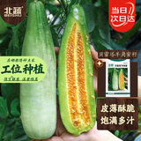北蔬甜瓜种子苗薄皮酥脆超甜香瓜四季水果种籽 贝雷塔羊角蜜种子5g
