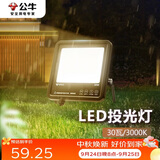 公牛（BULL）LED投光灯户外路灯庭院灯工地灯露营灯 IP65防水30W-3000K黄光