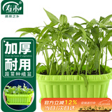 寿禾 种菜盆阳台家庭蔬菜种植方形盆 长形蔬菜种植盆(绿色)组合装2个
