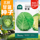 北蔬 甘蓝种子苗卷心菜包菜圆白菜大头菜秋冬蔬菜种籽 甘蓝种子500粒