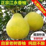 迭果江永香柚湖南永州特产沙田柚新鲜水果甜柚子产地直发 2个礼盒装4.5斤