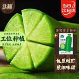 北蔬 沙窝水果萝卜种子苗秋冬甜脆青罗卜蔬菜种籽 沙窝萝卜种子10g