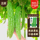北蔬绿苦瓜种子苗肉厚凉瓜耐热易种活四季蔬菜种籽 绿秀苦瓜种子10粒
