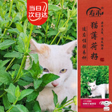 寿禾猫薄荷种子猫可食用室内驱四季种花草种籽 猫薄荷种子约1500