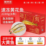 鲜京采速冻黄花鱼2100g/6条装  节庆礼盒 宁德地标【京东自有品牌】