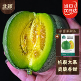 北蔬冰翡翠甜瓜种子种苗超甜绿宝石香瓜水果籽 冰翡翠甜瓜种子约50粒