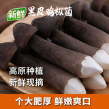 京鲜生云南新鲜黑皮鸡枞净重1斤鲜菌菇特产煲汤火锅食材源头直发