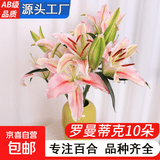 AB级优质香水百合鲜花水培插花家庭生活水养鲜切玫瑰云南产地直发 高品质【AB级罗曼蒂克】香水百合10朵+保鲜剂