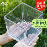 寿禾 玻璃瓶加厚透明植物插花水培容器 15*15大号方形水培玻璃瓶