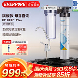 爱惠浦（Everpure） 家用矿物质厨下净水器 大流量0废水直饮 1.8L/分钟3500L处理量 EF-900P Plus