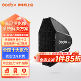 神牛 补光灯 ml100Bi 双色温 手持补光灯 户外录制短视频 摄影灯 白暖可调 便携 常亮 夜拍灯 ML-SF50 八角网格柔光箱 官方标配