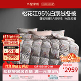 水星家纺羽绒被鹅绒被95%白鹅绒被子冬被冬季加厚被芯双人200×230约5.1斤
