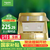 施耐德 弹出阻尼式双联六类电脑地插（不含底盒）铜质光面E226RJ6_2_BAS