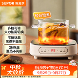 苏泊尔（SUPOR）电陶炉煮茶电磁炉家用电磁炉灶新型迷你小型简易大功率速热轻音火锅围炉煮茶炉C10-CS15