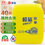 榄菊 洗洁精大桶20kg 金果园商用餐具洗涤灵A类食品用级别果蔬清洗剂