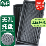 寿禾 育苗托盘多肉花盆秧苗塑料整理筐 无孔育苗托盘5片