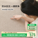 DEEMOON地毯客厅沙发茶几卧室素色硅藻丝防水可擦轻奢高级感200*300cm