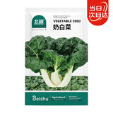 北蔬奶白菜种子苗矮脚小白菜盆栽秋冬青菜蔬菜种籽 奶白菜种子10g*2包