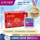佳沃（joyvio）云南蓝莓14mm+ 4盒装 约125g/盒 新鲜水果礼盒