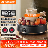 苏泊尔（SUPOR）迷你电陶炉 煮茶器煮茶炉煮茶壶 养生围炉煮茶泡茶办公家用不挑器具SW-DTL05