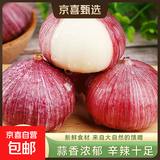 京喜自营云南蒜独头蒜调料京东买菜蔬菜新鲜独头蒜 【精选】独头蒜（单果2CM-）3斤毛重