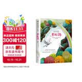 彩虹鸽 美绘典藏版国际大奖儿童文学 小学生三四五六年级课外阅读9-12-15岁儿童读物推荐阅读3-6年级寒暑假书青少年世界经典名著童话故事书